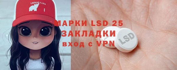прущий лед Богданович