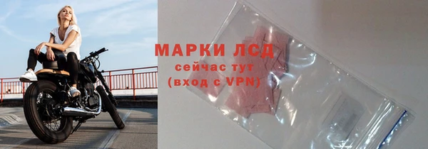 прущие грибы Богородск