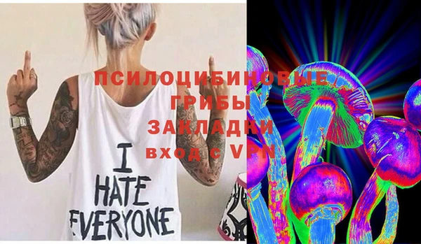 прущий лед Богданович