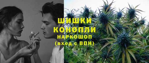 прущий лед Богданович