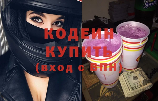 прущий лед Богданович