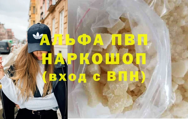 прущий лед Богданович