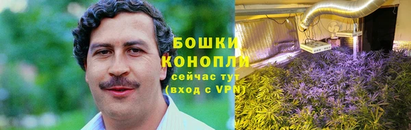 прущие грибы Богородск