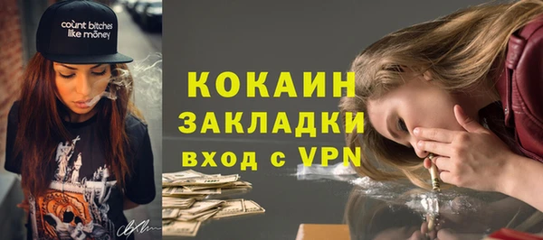прущие грибы Богородск