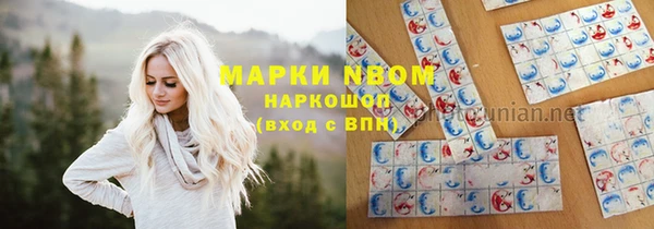 прущие грибы Богородск