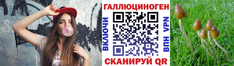 Псилоцибиновые грибы Psilocybe  наркотики  Калининград 